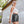MOTIVEWEAR™ Women’s “Legacy” Training Shorts
