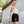 MOTIVEWEAR™ Women’s 