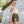 MOTIVEWEAR™ Women’s 